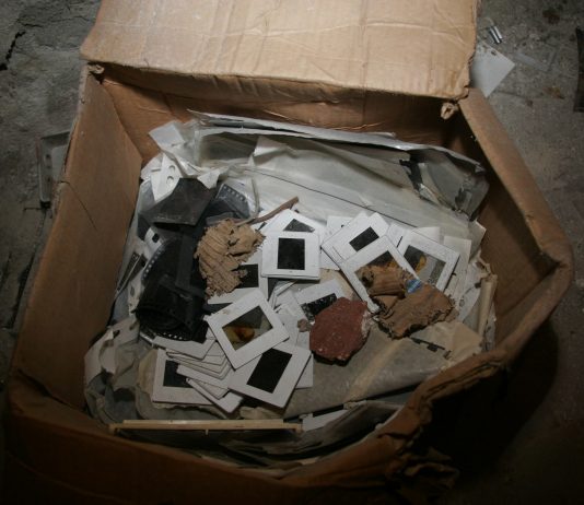 Guido Salvini – Bacteria