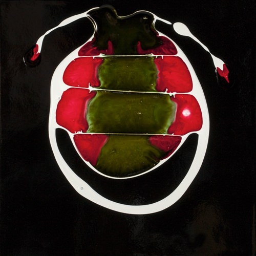 Mario Fois – Poliformiehttps://www.exibart.com/repository/media/eventi/2016/12/mario-fois-8211-poliformie.jpg