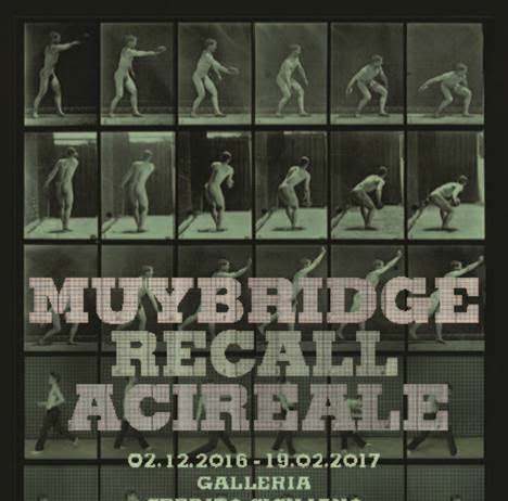 Muybridge Recall