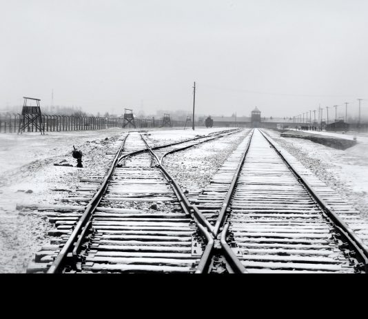 Alessandro Lercara – Echi da Auschwitz