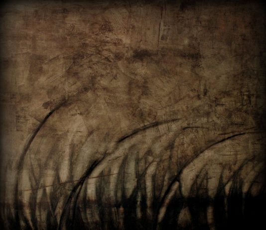 Cristina Migliorini – Memorie