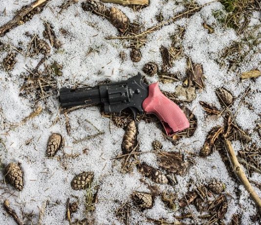 Georg Erlacher – Laota