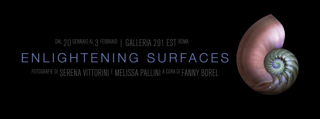 Serena Vittorini / Melissa Pallini – Enlightening surfaceshttps://www.exibart.com/repository/media/eventi/2017/01/serena-vittorini-melissa-pallini-8211-enlightening-surfaces-1068x400.jpg
