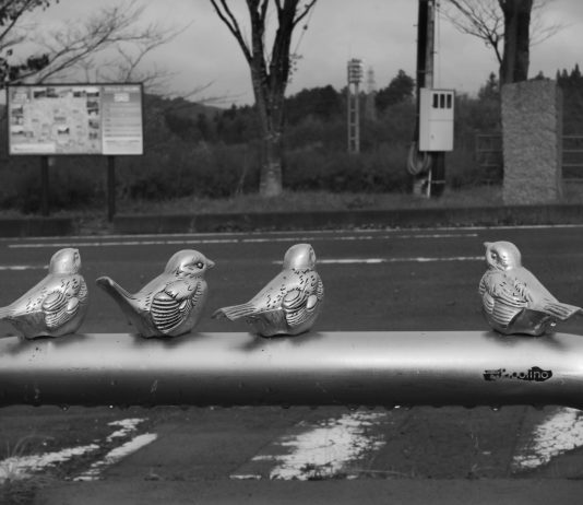 Alessandro Tesei –  Fukushima no Daimyo (Il Signore di Fukushima)