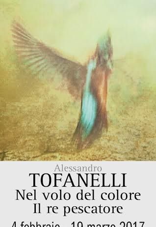Alessandro Tofanelli – Nel volo del colore. Il re pescatore