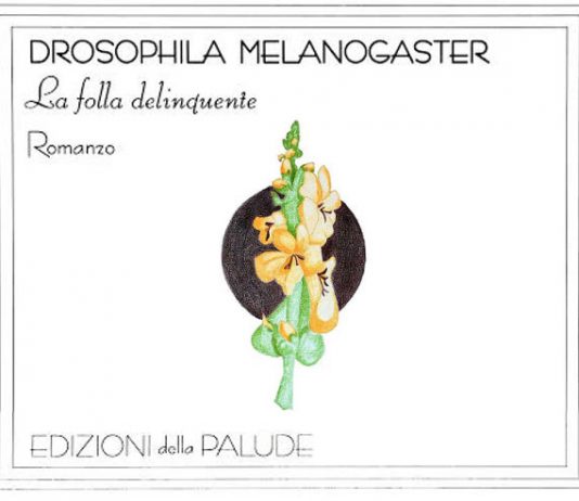Massimo Napoli – Drosophila Melanogaster