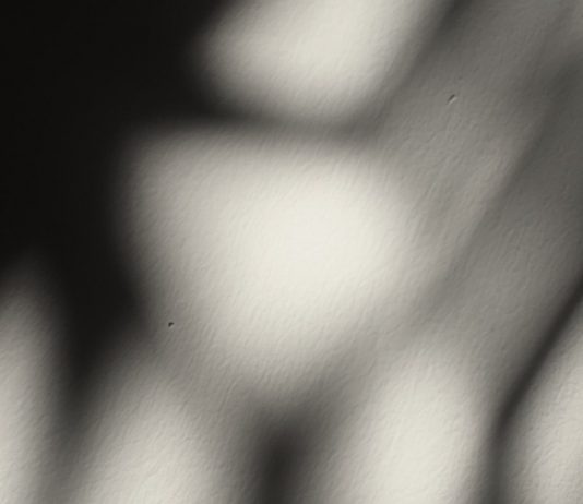 Piergiuseppe Anselmo – Haiku, in the blink of an eye Piergiuseppe Anselmo – Haiku, in the blink of an eye