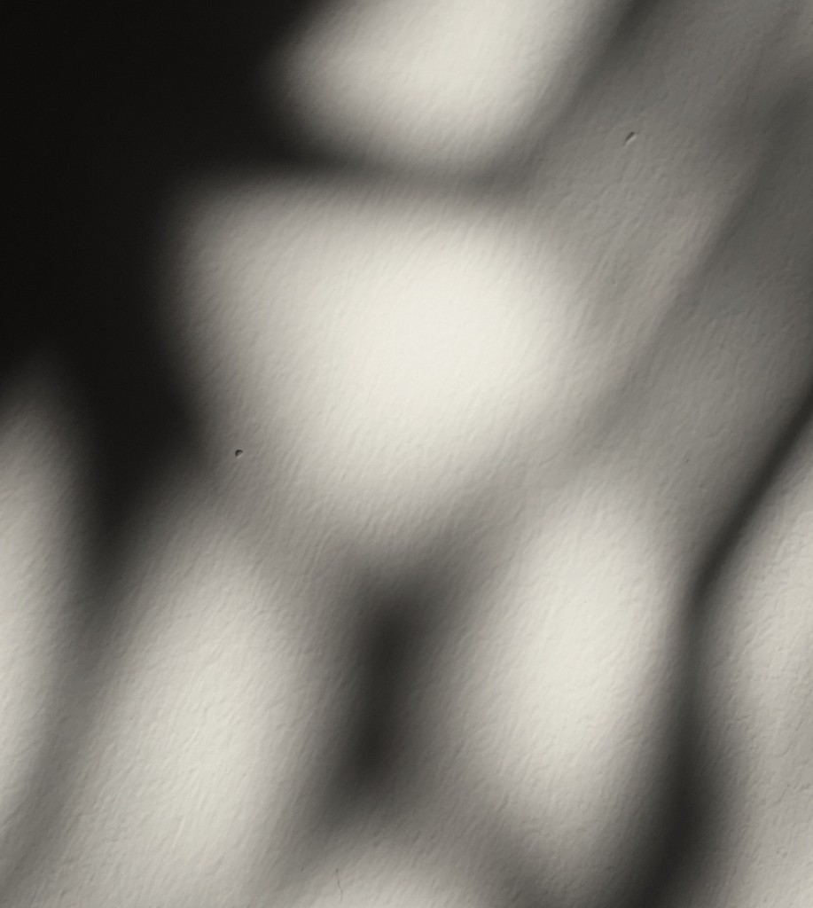 Piergiuseppe Anselmo – Haiku, in the blink of an eyehttps://www.exibart.com/repository/media/eventi/2017/02/piergiuseppe-anselmo-8211-haiku-in-the-blink-of-an-eye.jpg