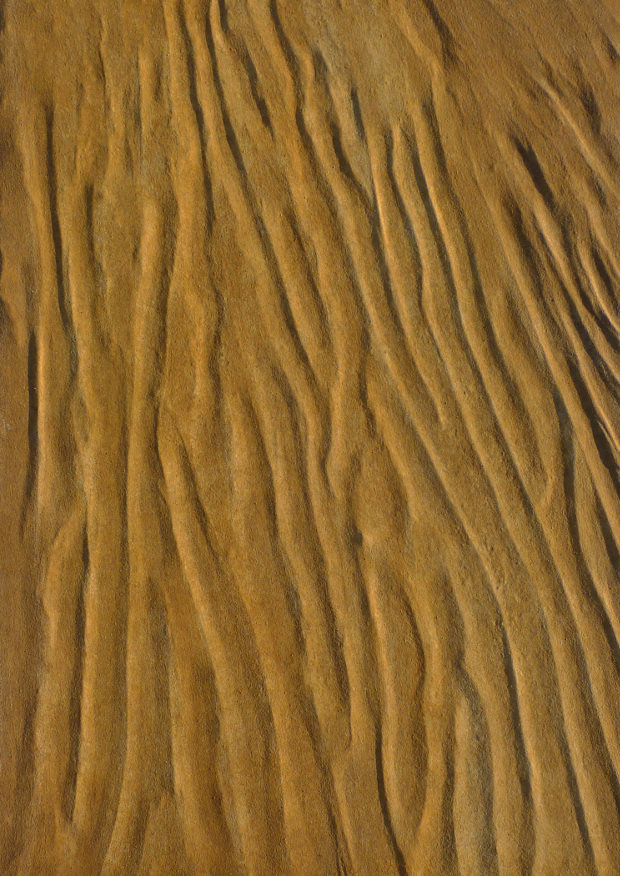 Roberto Pescetelli – Script Wavehttps://www.exibart.com/repository/media/eventi/2017/02/roberto-pescetelli-8211-script-wave.jpg