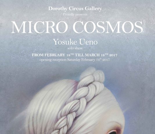 Yosuke Ueno – Micro Cosmos