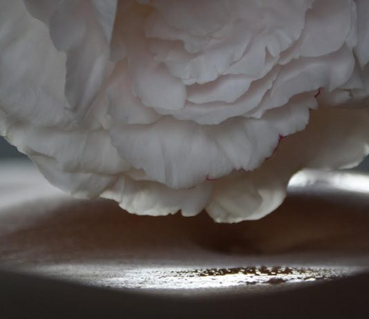 Caterina Orzi – Amori dalla Cenere