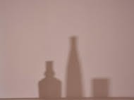 Catherine Wagner –  In Situ: Traces of Morandi