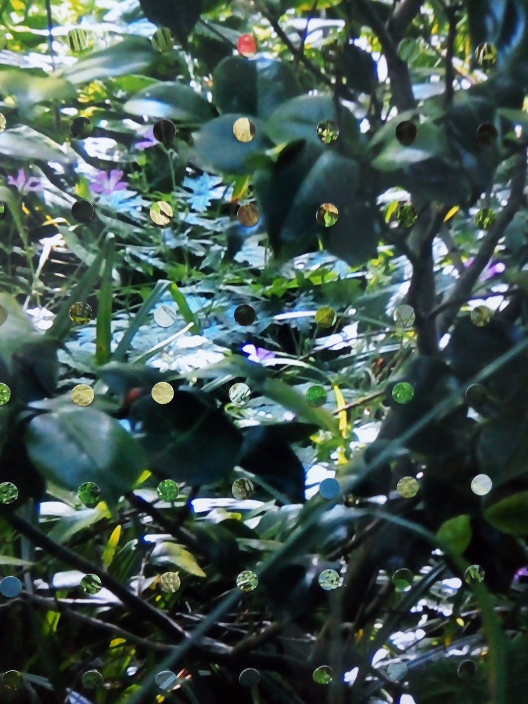 Lorenzo Di Lucido / Valentina Perazzini – L’Adultère Durablehttps://www.exibart.com/repository/media/eventi/2017/03/lorenzo-di-lucido-valentina-perazzini-8211-l8217adultère-durable.jpg