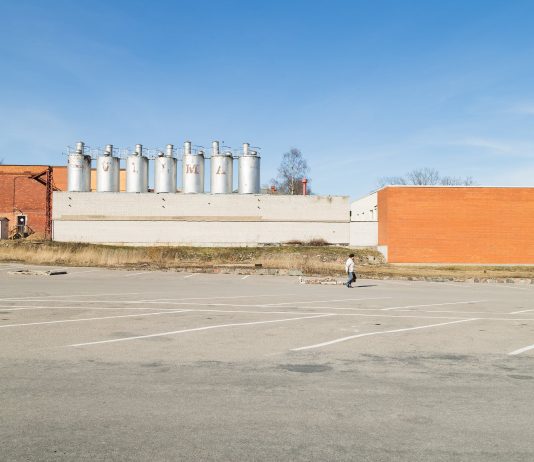 Madis Luik – Linn: Viljandi