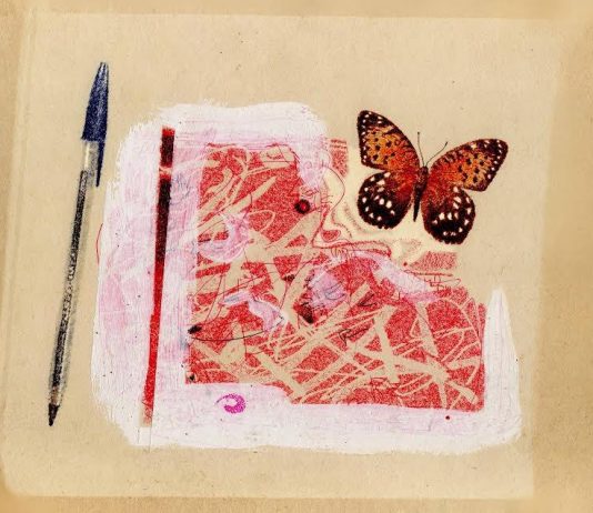 Mario Gosso – Diario di una vacanza