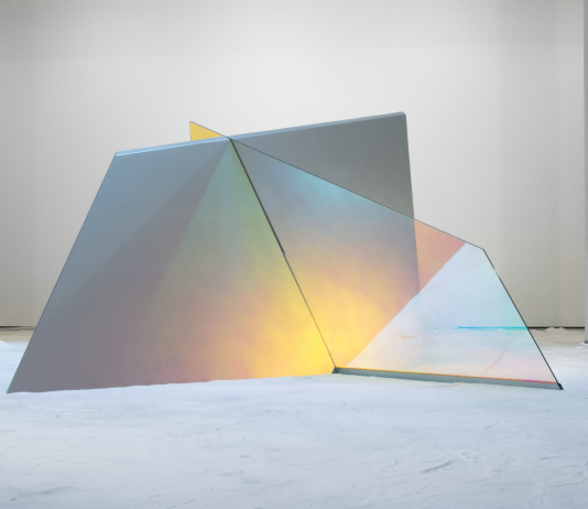Matteo Negri – Diciassette sculture a colori