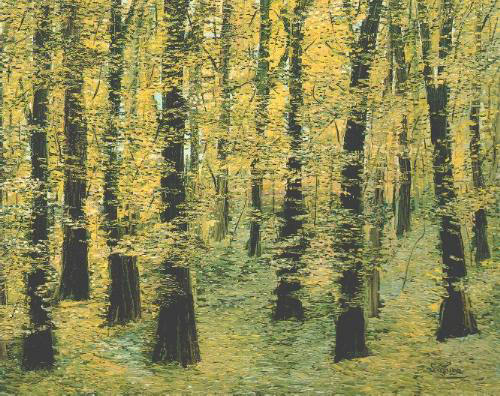 Sequenze e temporalità Sequenze e temporalità