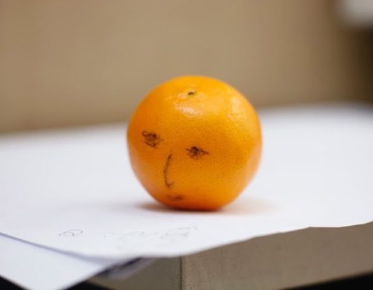 Zehra Arslan – Die Krebse schlugen mit den Schwänzen, und Du?