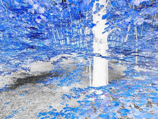 Francesco Epis – Lightwood