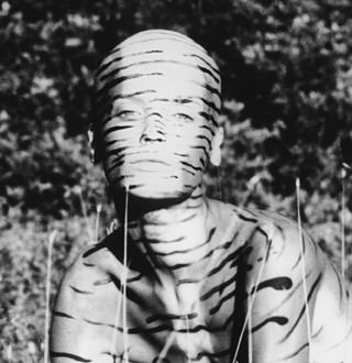 Jungle. L’immaginario animale nella Moda