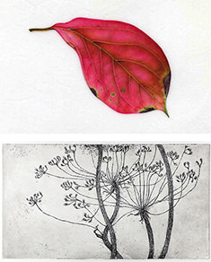 Lucilla Carcano / Elisabetta Pastorino – Wunderkammer