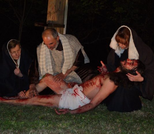 Pavia Fotografia. Impressioni fotografiche