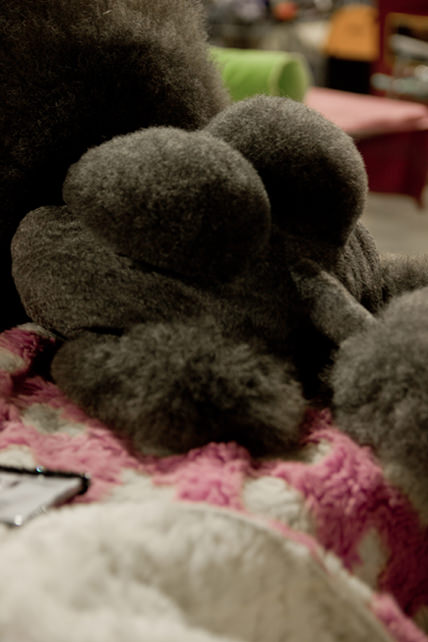 Roberto Fassone – Luce sempiterna della mente purahttps://www.exibart.com/repository/media/eventi/2017/04/roberto-fassone-8211-luce-sempiterna-della-mente-pura.jpg