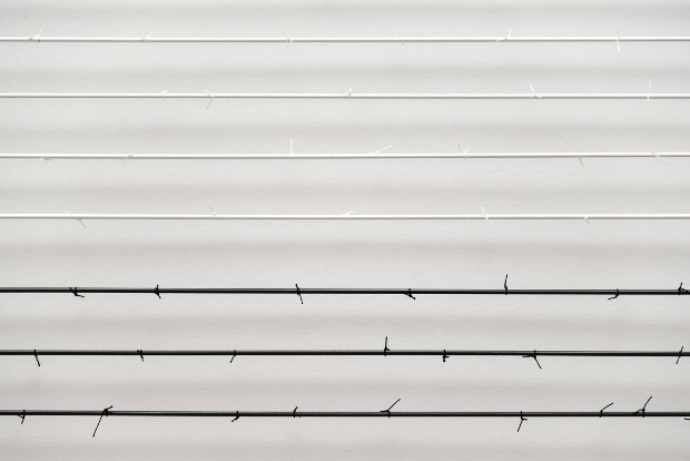 Roberto Piloni – Afasiahttps://www.exibart.com/repository/media/eventi/2017/04/roberto-piloni-8211-afasia.jpg