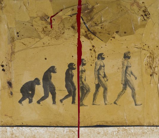 Enrico Garoia – Evolution?