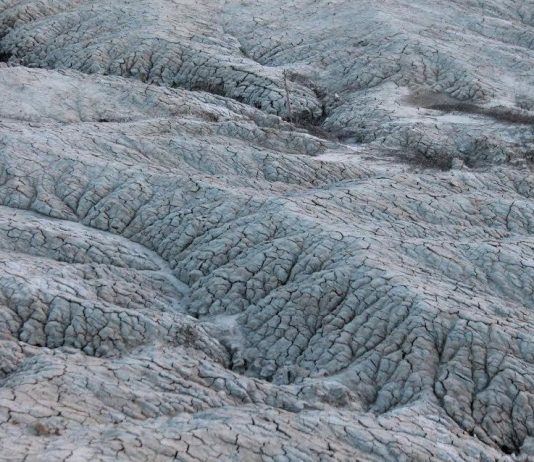 Festival dei sensi 2017 Festival dei sensi 2017