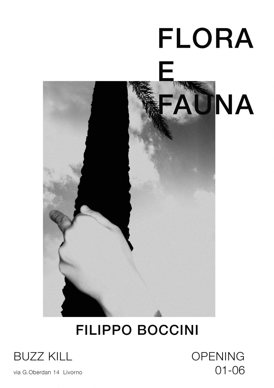 Filippo Boccini – Flora E Faunahttps://www.exibart.com/repository/media/eventi/2017/05/filippo-boccini-8211-flora-e-fauna-1068x1511.jpg