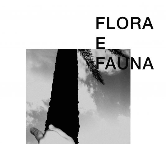 Filippo Boccini – Flora E Fauna