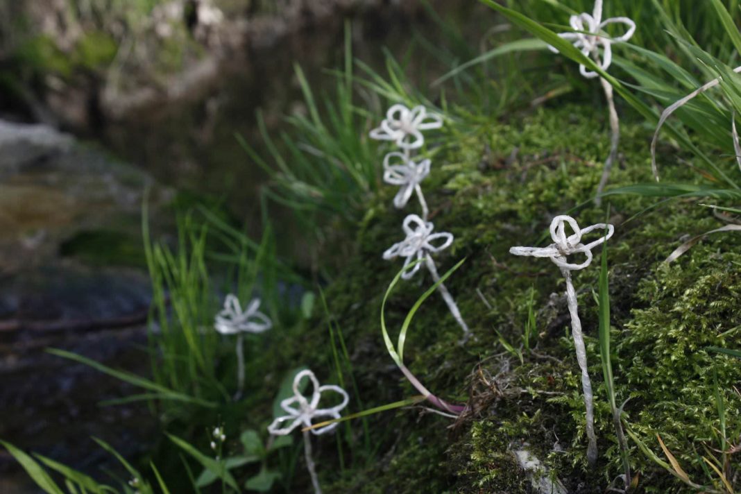 Giacomo Lambrugo – Grownhttps://www.exibart.com/repository/media/eventi/2017/05/giacomo-lambrugo-8211-grown-1068x712.jpg