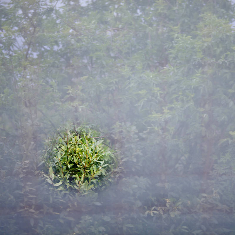 Luca La Via – Effalzioni e Difflazionihttps://www.exibart.com/repository/media/eventi/2017/05/luca-la-via-8211-effalzioni-e-difflazioni.jpg