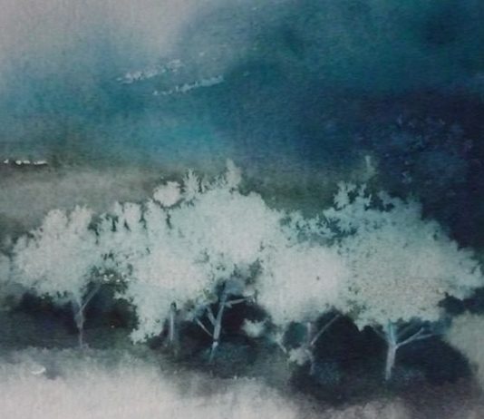 Luisella Cottino – Naturae