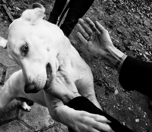 Sara Munari – Be the bee body be boom Sara Munari – Be the bee body be boom