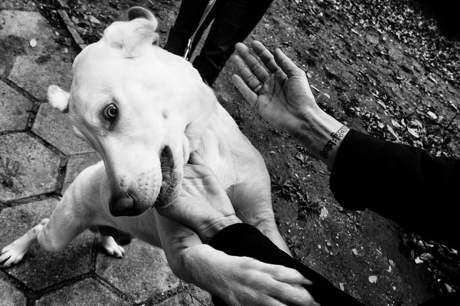 Sara Munari – Be the bee body be boomhttps://www.exibart.com/repository/media/eventi/2017/05/sara-munari-8211-be-the-bee-body-be-boom.jpg