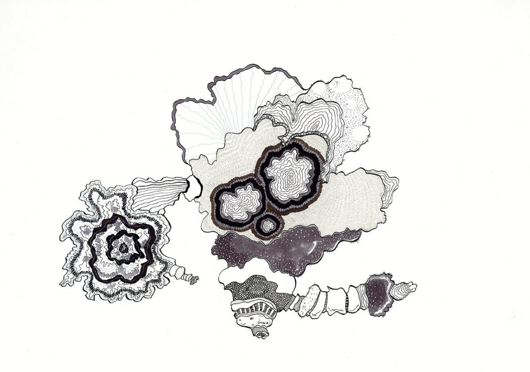 Andrea Guerzoni – Esercizi di naturalitàhttps://www.exibart.com/repository/media/eventi/2017/06/andrea-guerzoni-8211-esercizi-di-naturalità-1068x751.jpg