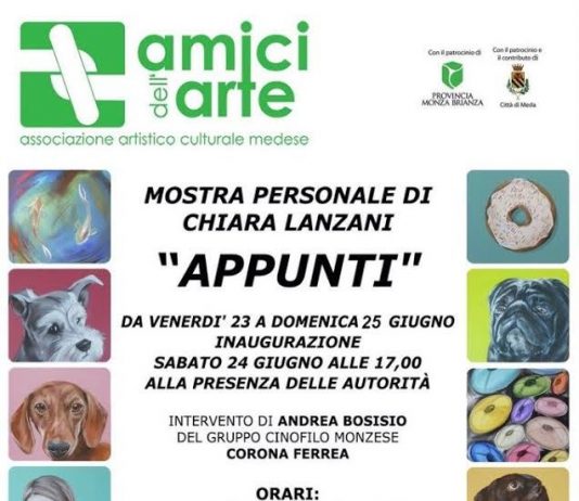 Chiara Lanzani – Appunti