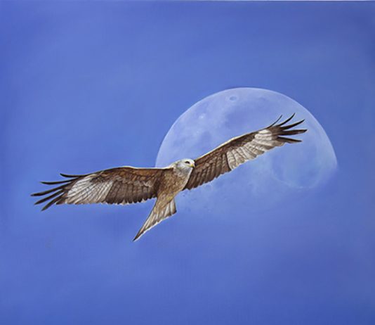 Gabriella Nube – Basilicata. Storie da una terra [non] lontana