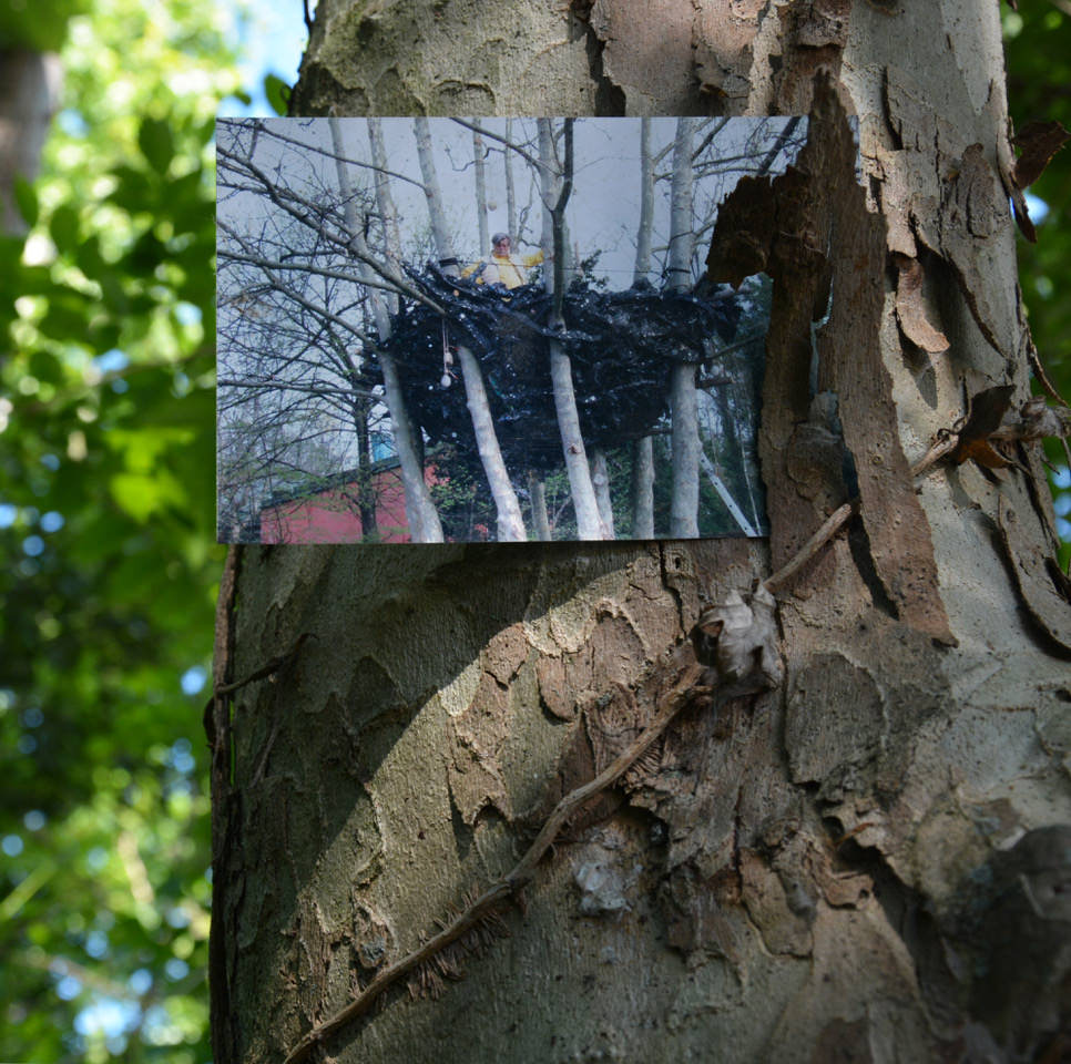 Gianni Villa – Nidihttps://www.exibart.com/repository/media/eventi/2017/06/gianni-villa-8211-nidi.jpg