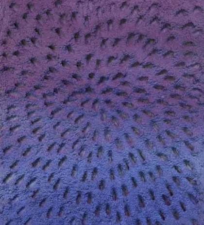 Jennifer Guidi – Visible Light / Luce Visibile