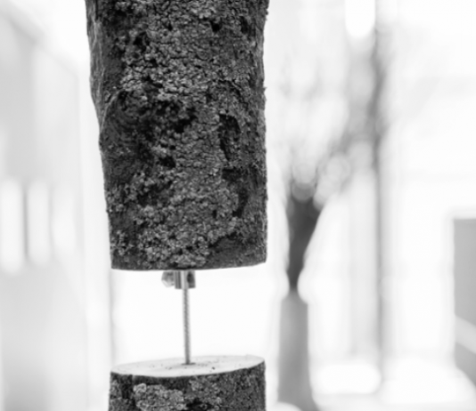 Marcello Donini – Feeling Wood