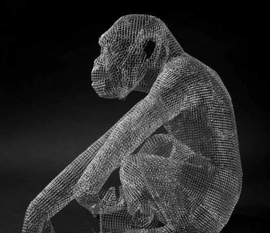 Michele Liparesi – Interazione analogica