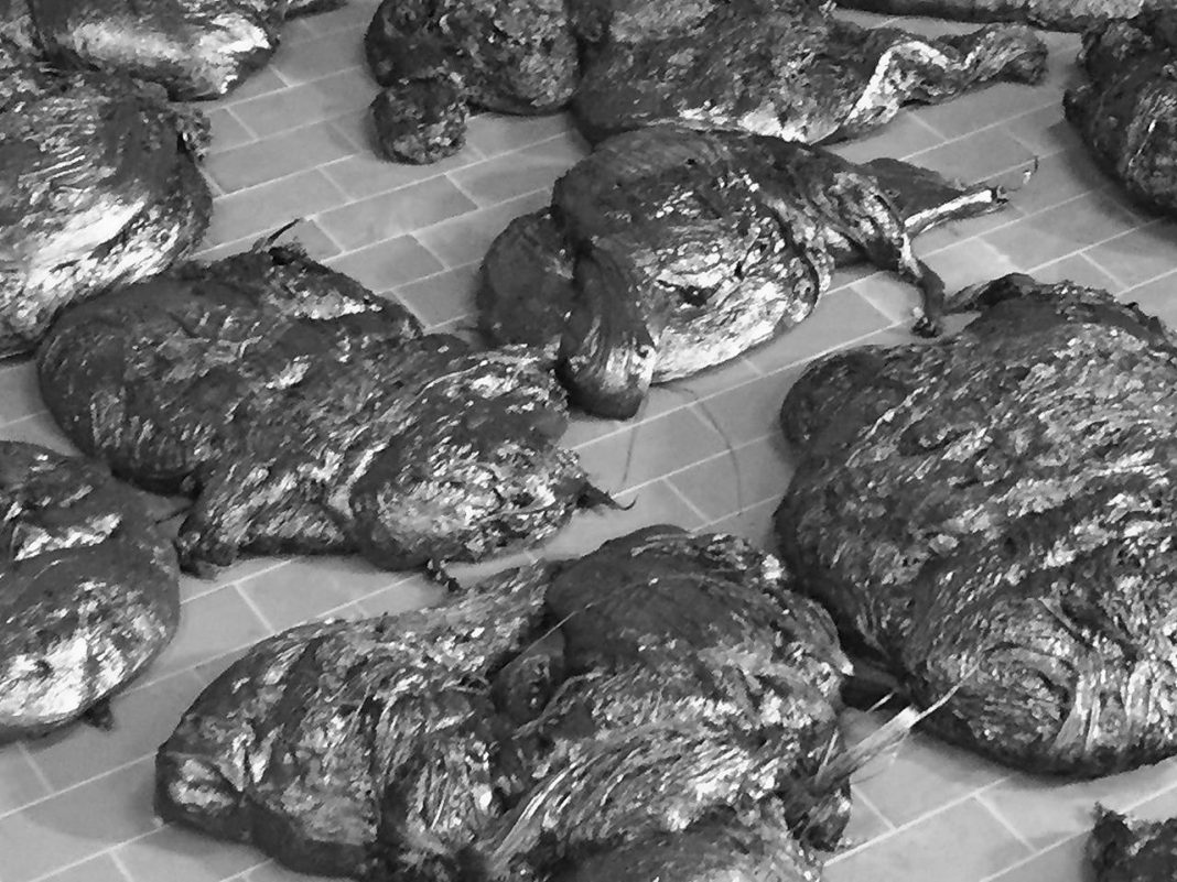 Nicola Pecoraro – Uraniahttps://www.exibart.com/repository/media/eventi/2017/06/nicola-pecoraro-8211-urania-1068x801.jpg