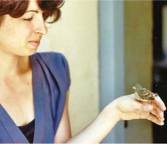 Agnieszka Kos – Riflessi Agnieszka Kos – Riflessi