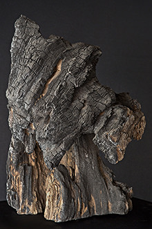 Albert G. Igel – Ritratti di oggetti perduti. Fotografie