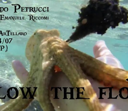 Leonardo Petrucci – Blow the Flow