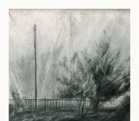 Lorenzo Bracalente – Fotografite Lorenzo Bracalente – Fotografite