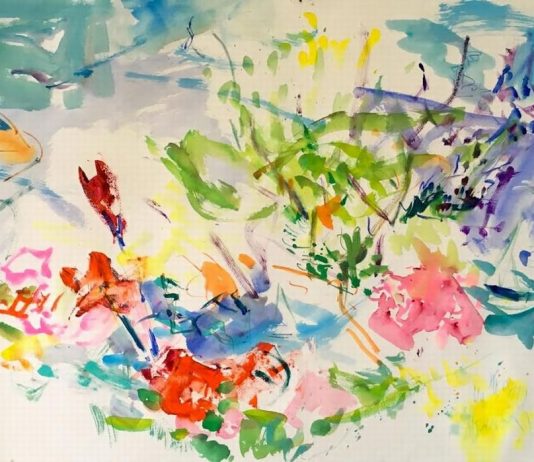 Sonia Grineva – Capri a Colori